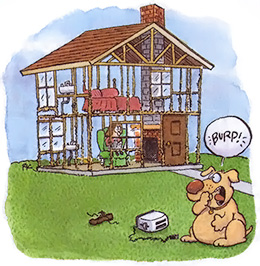 
Chewing is normal canine behavior, but needs to be discouraged if it becomes excessive.
